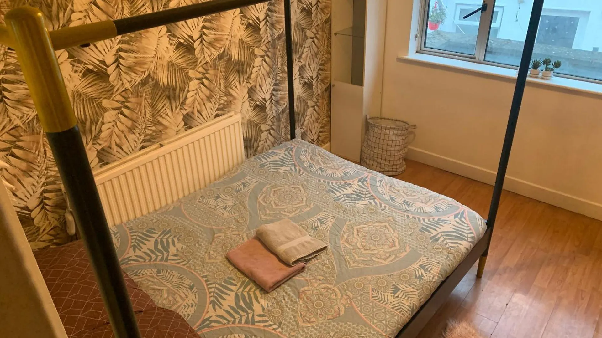 Guest house Wake Up With 2 Cats On Your Face Dublin