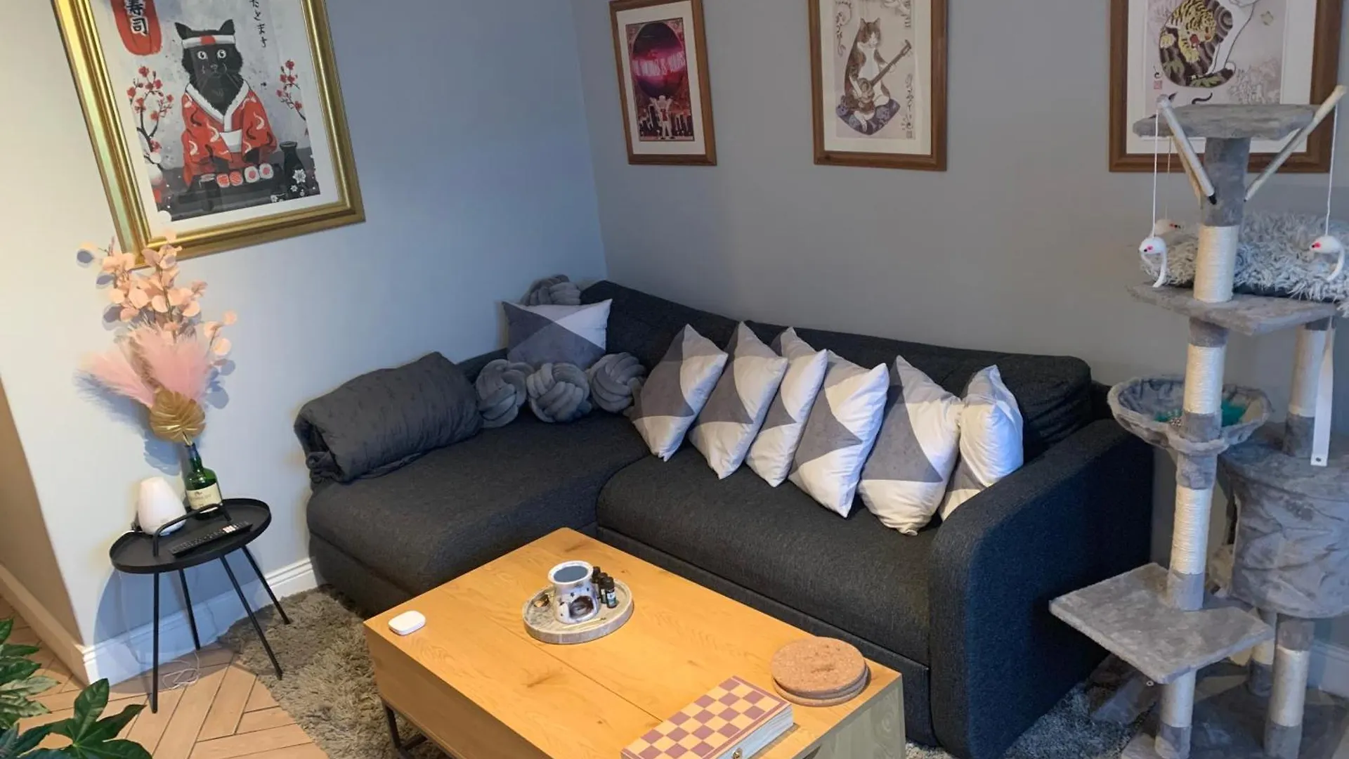 Guest house Wake Up With 2 Cats On Your Face Dublin